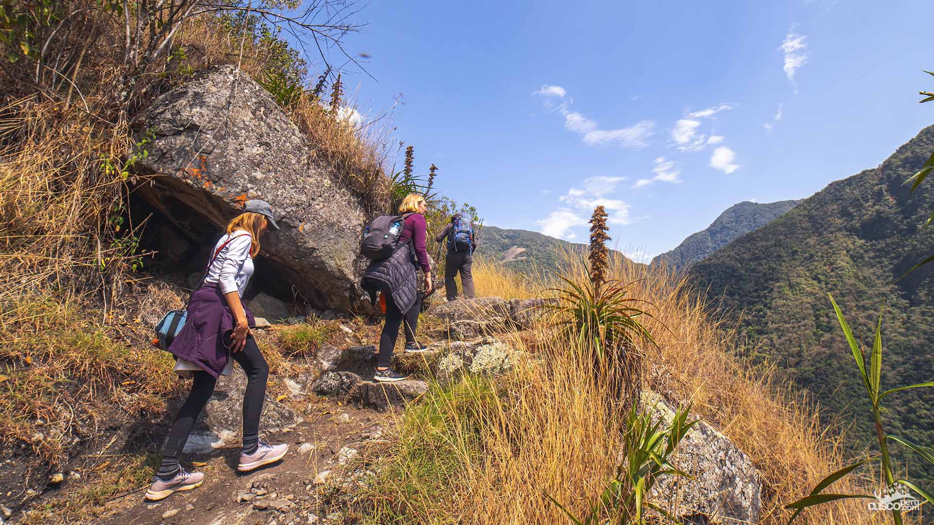 Camino Inca